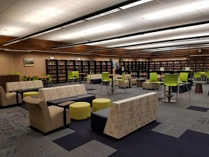 Library pic